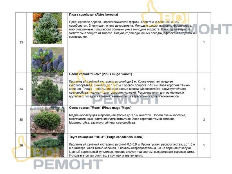 Проект благоустройства территории-102